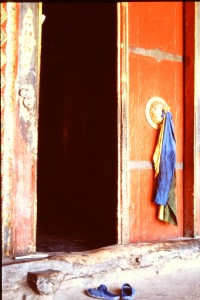 My beautiful picture