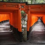entrée temple rouleaux orange