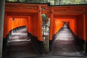 entrée temple rouleaux orange